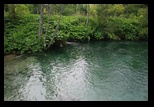 Plitvice -11-07-2013 - Bogdan Balaban